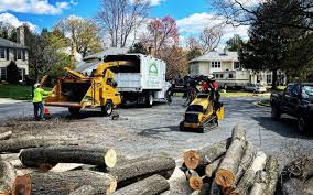 Lawn Grading and Leveling in Stockton, UT